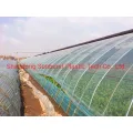 Agriculture Polyethylene (PO) Films PE Greenhouse Film